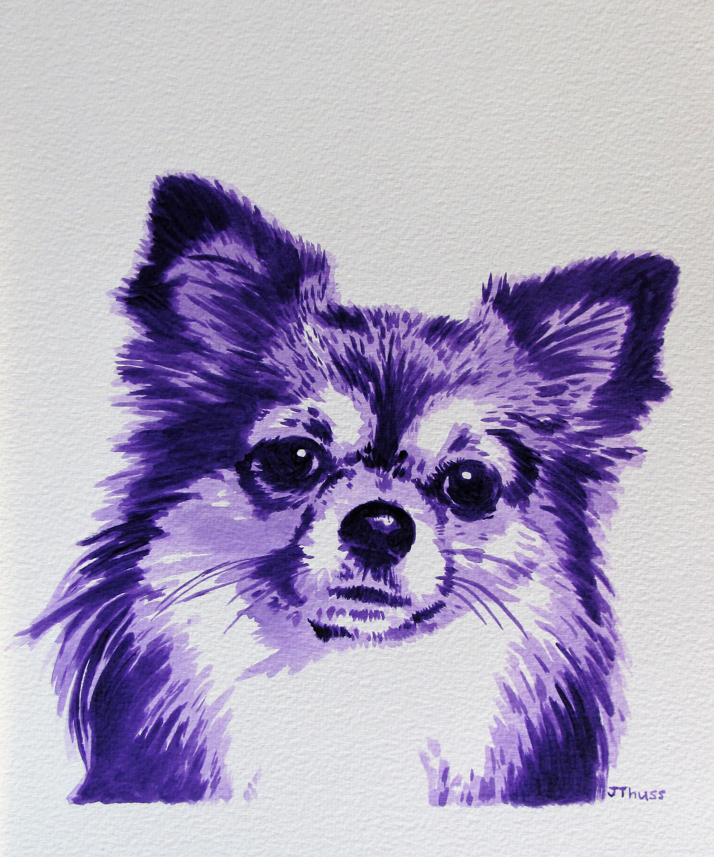 Purple Chihuahua